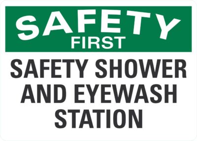 Safety First Safety Shower And Eyewash Station